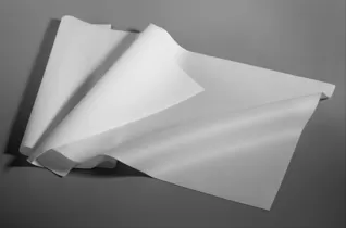 Hot Melt Adhesive Film