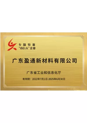 guangdong yetom new materials co ltd