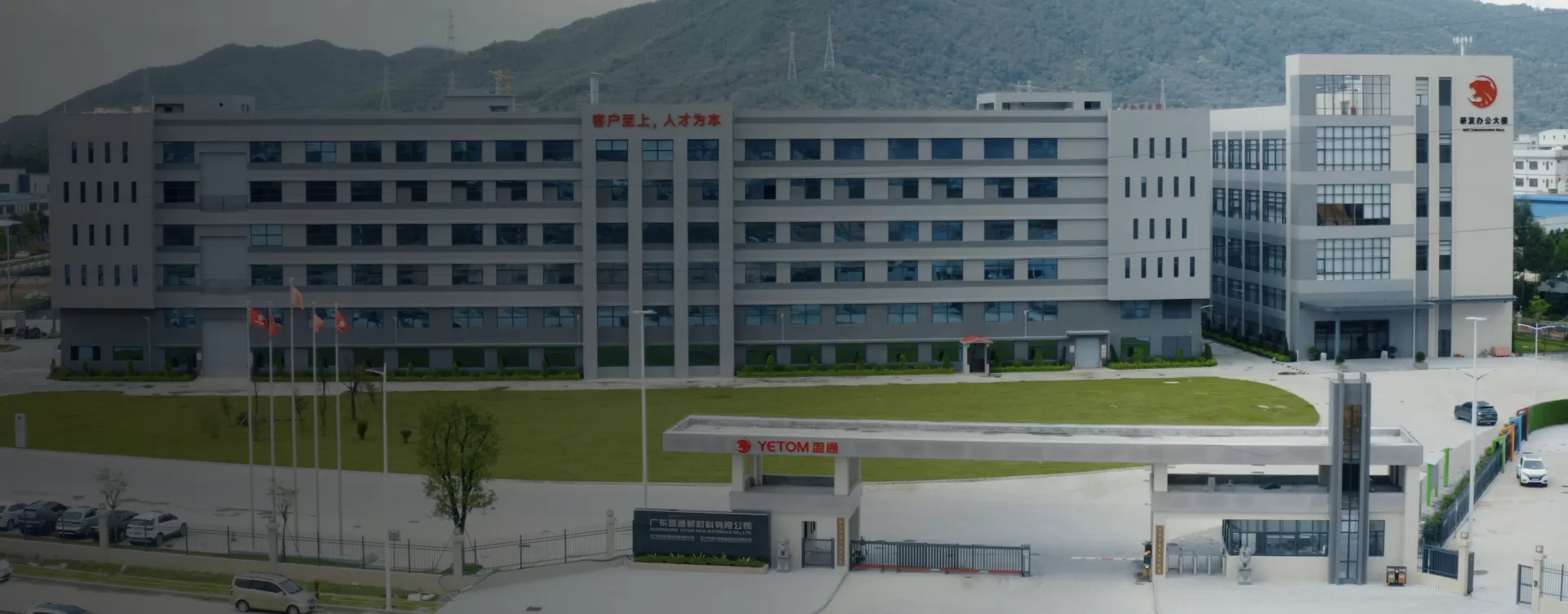 Company Profile