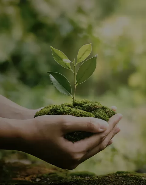 Environment